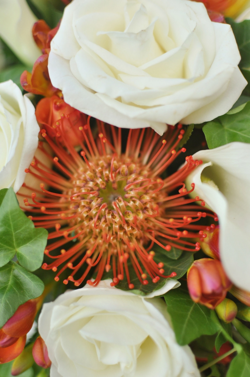 Neurontin Hypnotic Online Canadian Pharmacy